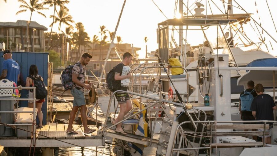 From Ma'alaea: Afternoon Whale Watch Tour Aboard the Malolo - The Value and Price