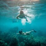 From Maalaea: Turtle Town 3-Hour Snorkel and Sail Adventure - What We Loved