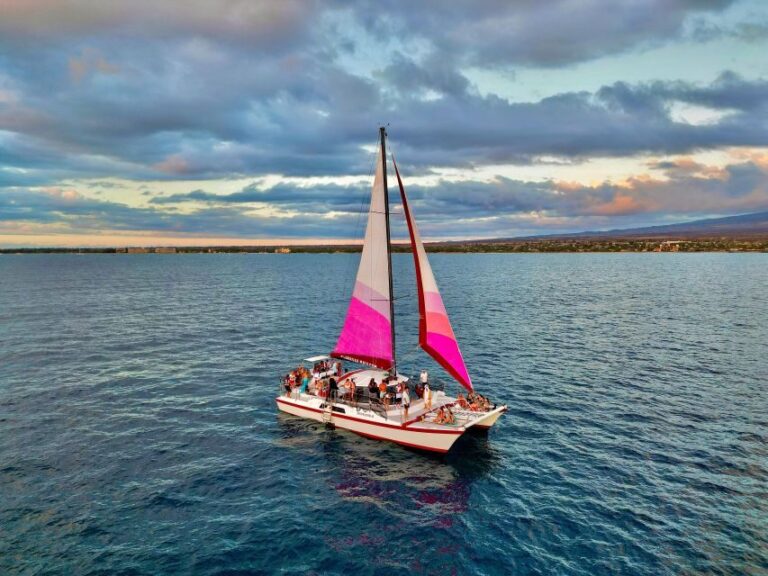From Maalaea: Whale Watching Catamaran Cruise with Drinks - The Value of This Tour