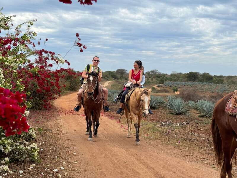 From Mazatlan: ATV & Horse Back riding with Tequila Tasting - The Culinary and Spirit Experience