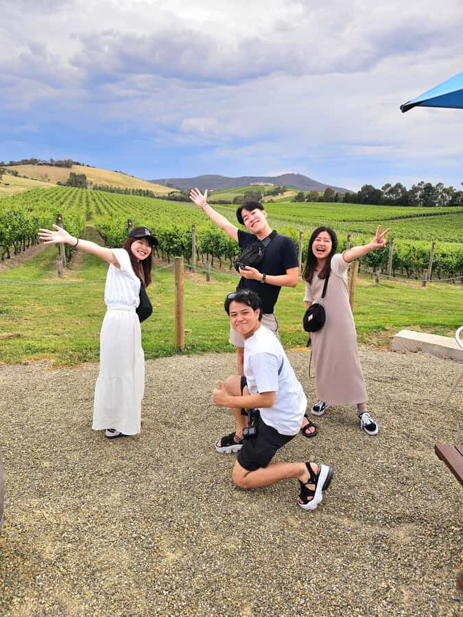 From Melbourne: Redwoods Forest & Yarra Valley Wine Tour - Price & Value