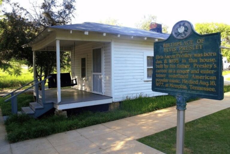 From Memphis: Elvis Presley Birthplace and Park Guided Tour - Value and Cost: Is It Worth $215?