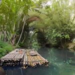 From Merida: Beach, Mangrove and something more - What to Expect on the Day