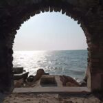 From Merida: Celestun, flamingos and beach - Who Is This Tour Best Suited For?