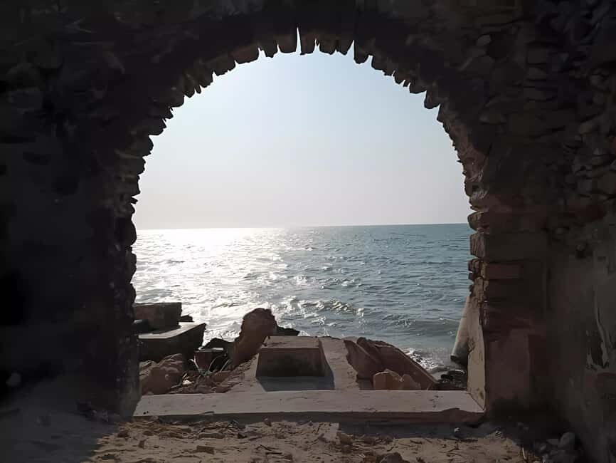 From Merida: Celestun, flamingos and beach - Who Is This Tour Best Suited For?