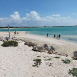 From Merida: Isla Columpios & Progreso - The Experience at Isla de los Columpios