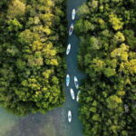 From Mérida: Paddel board, Sunshine and beach - What’s Included & What’s Not