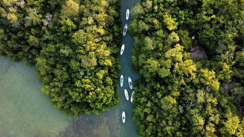 From Mérida: Paddel board, Sunshine and beach - What’s Included & What’s Not