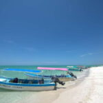 From Mérida: Ria Celestun Biosphere Reserve Tour - Wildlife and Ecosystem