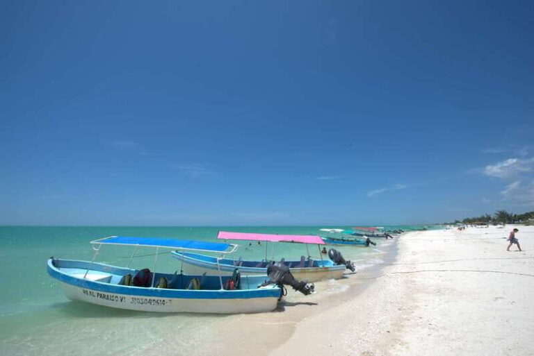 From Mérida: Ria Celestun Biosphere Reserve Tour - Wildlife and Ecosystem