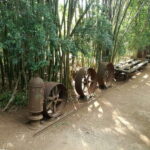 From Merida: Uxmal, Hacienda Yaxcopoil and Cenote with Lunch - Exploring Uxmal: A Mayan City of Elegance