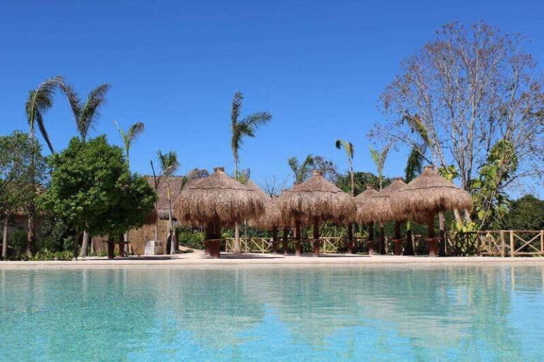 From Mérida: Visit an emblematic hacienda, enjoy its cenote - A Deep Dive Into the Tour Experience