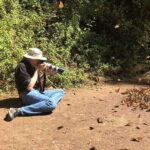 From Mexico City: 7-Day Monarch Butterfly Tour - Transport, Accommodation, and Overall Value