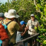 From Miami: Everglades Airboat Ride and Nature Walk - What to Expect: The Day in Detail
