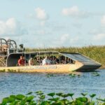 From Miami: Everglades Airboat, Wildlife Show & Bus Transfer - The Wildlife Show & Animal Encounters