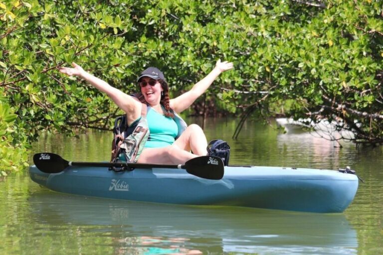 From Naples, FL: Marco Island Mangroves Kayak or Paddle Tour - Who Will Love This Tour?