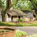 From New Orleans: Oak Alley Plantation Tour - Who Would Enjoy This Tour?