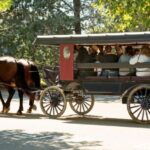From NYC: Day Trip to Philadelphia and Amish Country - Who Is This Tour Best For?