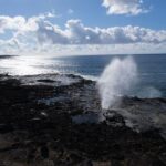 From Oahu: Kauai Waimea Canyon & Wailua River Tour - Who Is This Tour Best For?