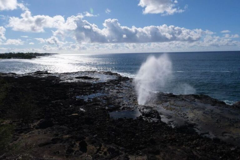 From Oahu: Kauai Waimea Canyon & Wailua River Tour - Who Is This Tour Best For?