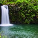 From Oahu: Maui Road to Hana Sightseeing Tour - How Does the Price Stack Up?
