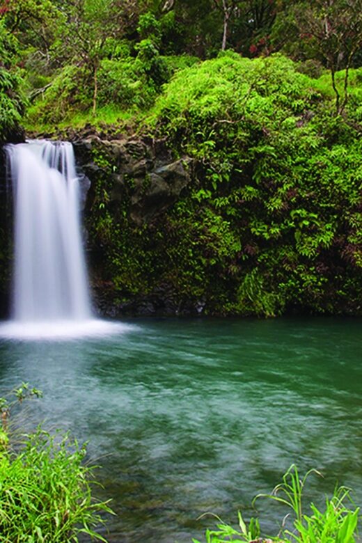 From Oahu: Maui Road to Hana Sightseeing Tour - How Does the Price Stack Up?