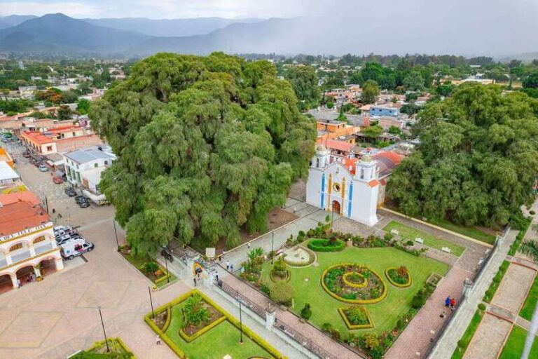 From Oaxaca: City, Mitla, and Mezcal Factory Tour - Who Is This Tour Best For?