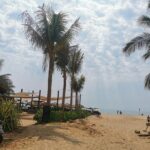 From Oaxaca de Juarez to Puerto Escondido - Private Transfer - What’s Included and Other Details