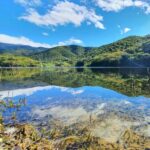 From Oaxaca: MTB Guided Bike Tour, Tule Tree & Lake Half-Day - What We Think About the Value