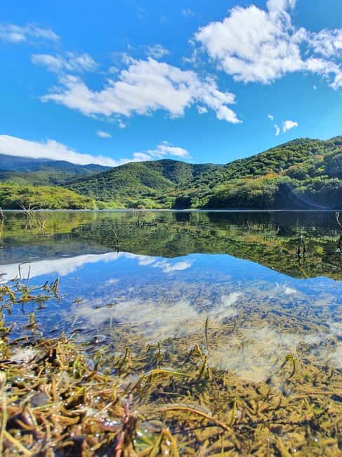 From Oaxaca: MTB Guided Bike Tour, Tule Tree & Lake Half-Day - What We Think About the Value