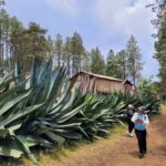 From Oaxaca: Sierra Norte Hike & Indigenous Village Full-Day - Visiting the Indigenous Village
