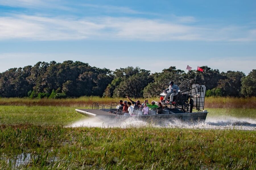 From Orlando: Swamp Airboat Ride and Gatorland Entry - Price and Value Analysis