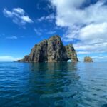 From Paihia: Hole in the Rock Cruise & Island Tour: 3 Hour - What to Expect on the Tour