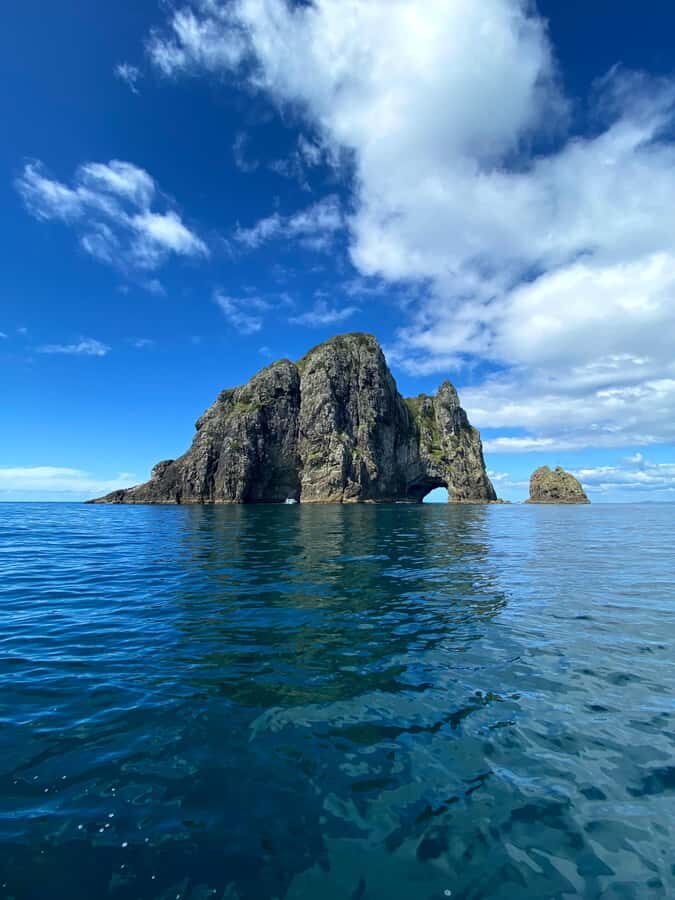 From Paihia: Hole in the Rock Cruise & Island Tour: 3 Hour - What to Expect on the Tour