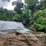 From Palenque: Roberto Barrios and El Salto Waterfalls Tour - Deep Dive into the Itinerary