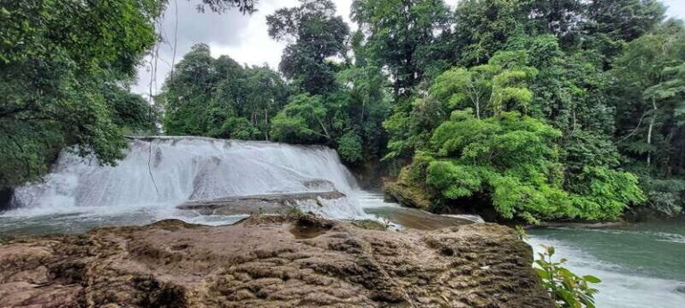 From Palenque: Roberto Barrios and El Salto Waterfalls Tour - Deep Dive into the Itinerary