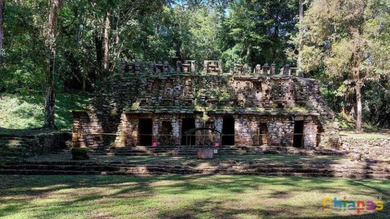 From Palenque: Yaxchilán and Bonampak Tour - The Practical Side: What’s Included and What’s Not