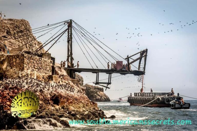From Paracas: Ballestas Islands tour all Inclusive - Who Should Consider This Tour?