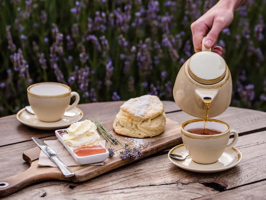 From Penneshaw - A Tasting Of Kangaroo Island - Is It Worth the Price?