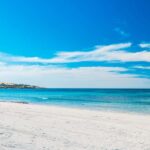 From Penneshaw: Kangaroo Island Shore Excursion Tasting Tour - What We Loved About the Tour