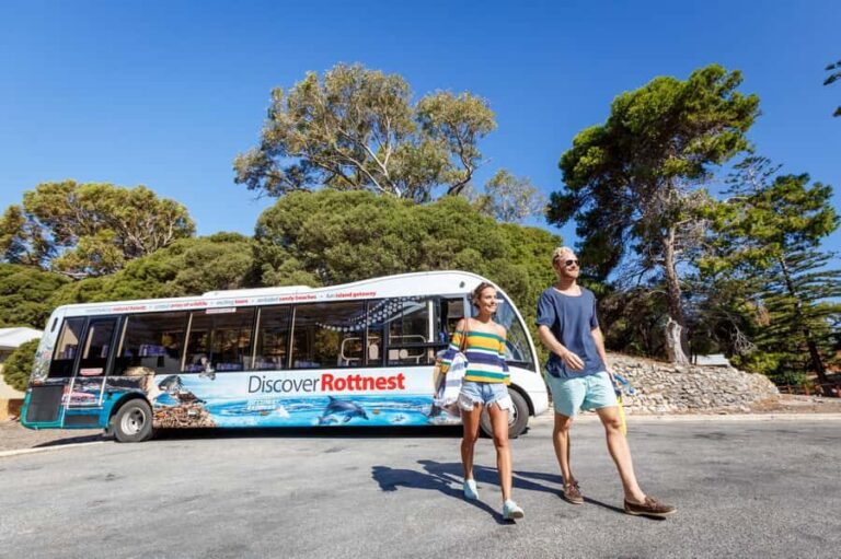 From Perth: Rottnest Island Ferry & Bus Day Tour - The Guided Bus Tour and Its Highlights