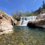 From Phoenix: Offroad Sonoran Desert and Sunset Shared Tour - The Experience: What Stands Out