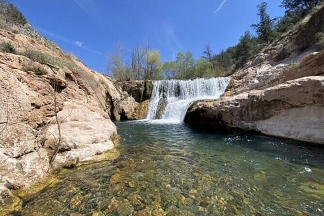 From Phoenix: Offroad Sonoran Desert and Sunset Shared Tour - The Experience: What Stands Out