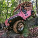 From Pigeon Forge: Foothills Parkway 2.5-Hour Jeep Tour - Honest Feedback from Travelers