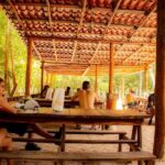 From Playa del carmen Experience ATV (Shared) Zipline & Cenote- Includes lunch - Things to Keep in Mind