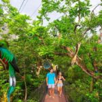 From Playa del Carmen: Xcaret Plus Park, the complete experience - Is It Worth the Price?