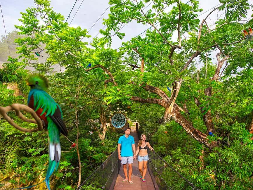From Playa del Carmen: Xcaret Plus Park, the complete experience - Is It Worth the Price?