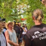 From Port Douglas: Daintree Rainforest & Mossman Gorge Tour - The Overall Experience: Pros & Cons