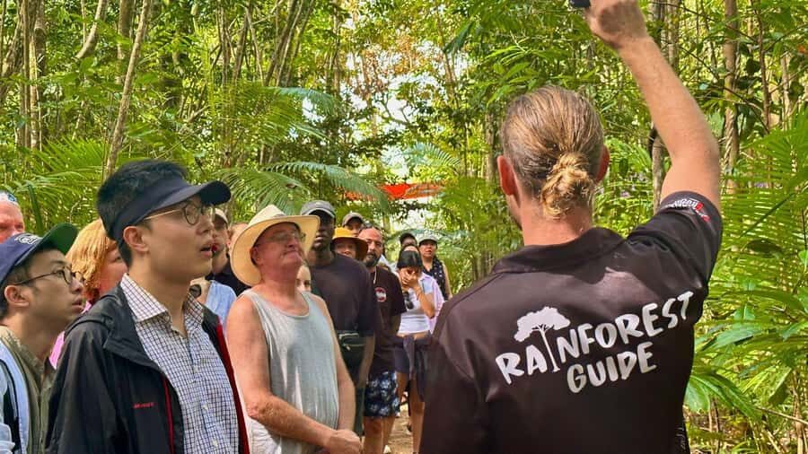 From Port Douglas: Daintree Rainforest & Mossman Gorge Tour - The Overall Experience: Pros & Cons