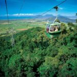 From Port Douglas: Kuranda Tour with Skyrail & Scenic Train - What Travelers Are Saying